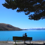 뉴질랜드 렌트카 여행 남섬 가볼만한곳 테카포 호수 푸드트럭 피시앤칩스