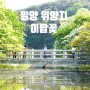 밀양 위양지 이팝나무 꽃 현지인 실시간 개화 상황 정보