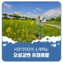 평택시민기자단 | 평택 봄꽃 명소 '오성 강변 유채꽃밭'