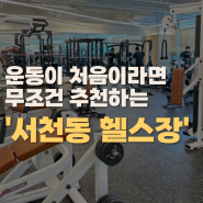 운동 초보자 만족도 1000% 청결, 친절, 관리 모든 것을 다 잡은 서천동 헬스장 추천 (주차, 운영시간, 이용방법, 운동복, 시설)