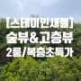 서울시 은평구 신사동! 새절역 도보3분! 2룸&복층 [스테이 인 새절]