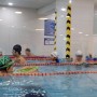 산본 어린이수영장 스윔스타즈 5살 수영배우기 2개월