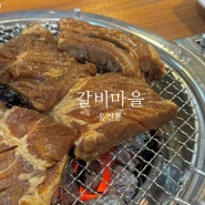 융건릉 맛집 돼지갈비 전문점 갈비마을 안녕동 모임 추천