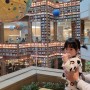 수원 스타필드 아기랑 + 유아휴게실,별마당 도서관,별마당 키즈