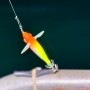 산란 갑오징어 낚시 - 진해 속천항 포세이돈호