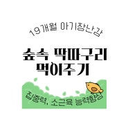 후기 :: 20개월 아기 장난감 [숲속 딱따구리] 사용 후기