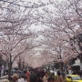 도쿄 여행 3박4일 3일차 일정 : 가마쿠라 에노시마섬 먹방 여행/가마쿠라 슬램덩크 사진 남기기