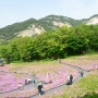노원 가볼만한곳 여행코스 | 불암산 철쭉동산 철쭉제 | 서울공원추천