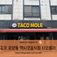 새침한김포댁냠냠라이프/[김포]운양동까페거리 멕시코음식 타코몰리