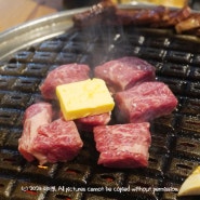 인천 계양구 맛집 고기가 맛있는 '대청'