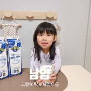 남양 고칼슘 락토프리 우유 소화잘되는 배안아픈 우유 추천