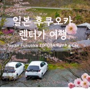 일본 후쿠오카 자유여행 도요타 렌터카 비용 렌트카 예약 운전팁