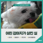 남양주24시동물병원 강아지 이물 섭취, 구토요법 치료