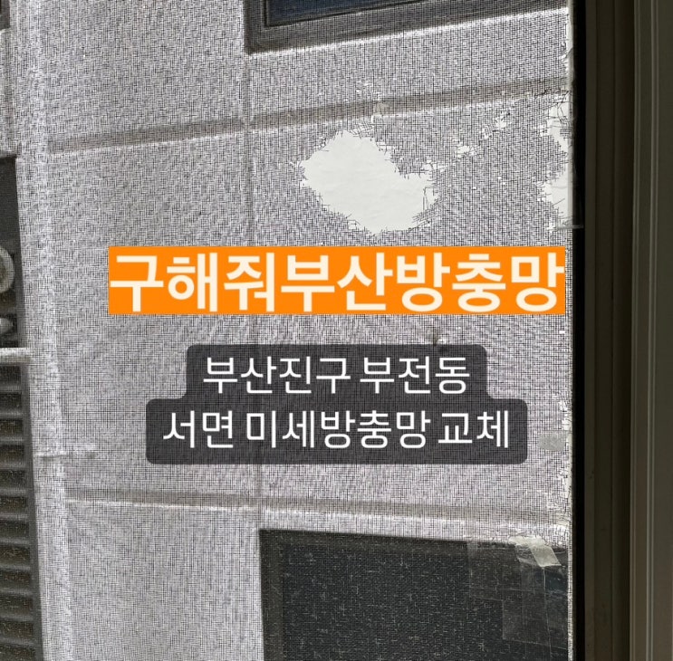 구해줘부산방충망 뚫린 방충망 구해준 썰^^