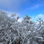 전북 무주 덕유산 | 죽을 뻔.. 케이블카는 사치^^ 더워지는 요즘 설산 보고 가세요❄(23.12.01)