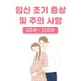 임신초기 증상과 주의사항 총정리 (Feat.5주차~12주차 포함)