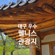 🌿대구 우수웰니스 관광지 선정 4개소 살펴보기(feat.선정 기념식)
