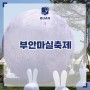 전북 여행 부안 가볼만한곳 5월 축제 2024 부안마실축제 전라도 여행지 추천