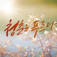 청춘을 돌려다오 (나훈아) - cover by 에버그린