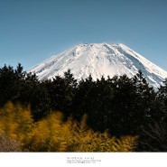 [Mt.Fuji, 富士山] 길 위에서 만난 후지산, 눈보라