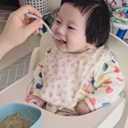원목 아기식탁의자 추천 이유식 흡착식판 차일드홈 에보짓 베아바 유아식기 4종세트