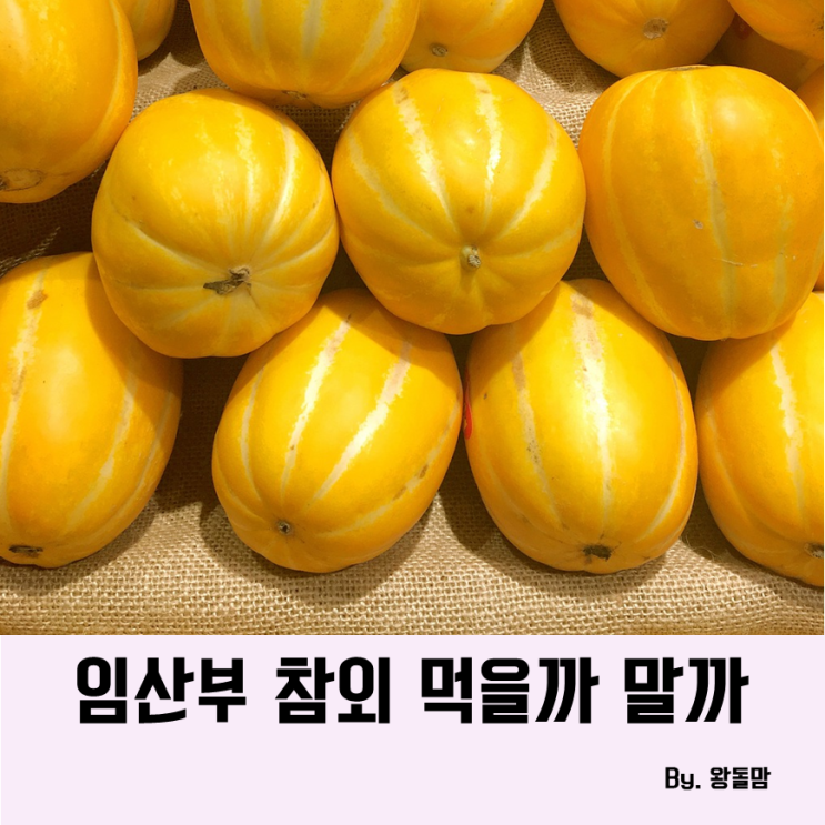 임산부 참외 씨 먹어도 되는지 모르겠어요 : 네이버 블로그