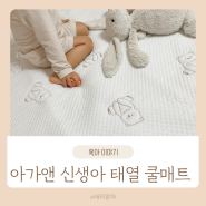 아기 태열 땀띠엔 아가앤 신생아 쿨매트 추천