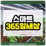 스마트 365잎새삼 스마트팜 농장 임대수익 정보