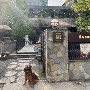 수상한 베이글, 야외 테라스 반려견 동반 가능 홍대 맛집 상수 카페