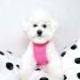 CRR 클러스터라운드 부클 스트랩 탑 핑크 * 강아지옷 너무 귀여워요!