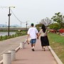 장성 꽃구경 명소 황룡강 축제 산책길