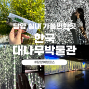 담양 실내 여행 코스 아이와 가볼만한곳 한국 대나무 박물관