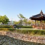 광양 여행 5월 아이와 가볼만한곳 유당공원에 이팝나무