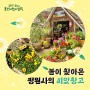 [용산어린이정원] 봄이 찾아온 정원사의 씨앗창고