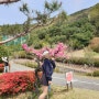[부산 골프장] 해라CC 노캐디 벚꽃 라운드
