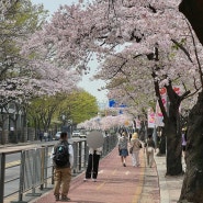 1년만에 다녀온 한국