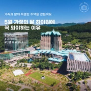 5월 가정의 달 하이원에 꼭 와야하는 이유 l 정선여행 ㅣ가족여행