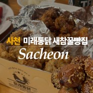 경남 사천 맛집 ⏐미래 통닭 + 새참 꿀빵집