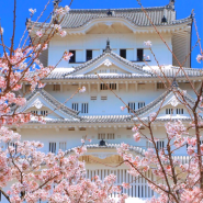 일본 히메지성 여행 벚꽃 코코엔 코인락커