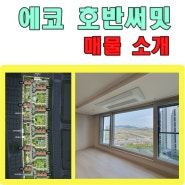 부산명지 에코델타시티 호반써밋 매물 소개, 매매/전세/월세, 내부사진