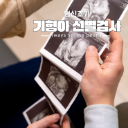 임신12주 임신초기 기형아검사 1차 시기 정밀초음파 비용 결과