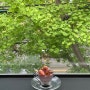 부산) 비 오는 날에도 분위기 좋은 금련산역 광안리 조용한 감성 카페 '컴팩트 프리덤'