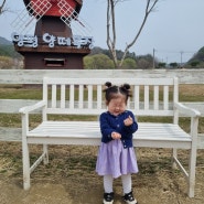 서울근교 양평 아기랑 양평양떼목장
