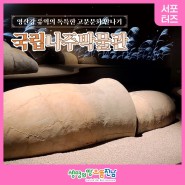 [전남 서포터즈] 영산강 유역의 독특한 고분문화 만나기, 국립나주박물관