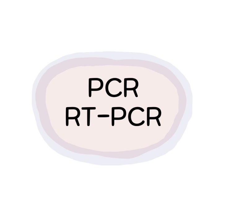 [개념] PCR, Reverse transcription polymerase chain reaction (RT-PCR ...