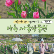 4월 서울 가볼만한 곳 마곡 서울식물원 튤립 명소! 입장권, 주차, 수유실, 카페, 기프트샵 O
