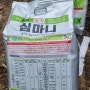 초보 농사꾼 토양살충제 마늘농사 지을때 필수 템 마파도 균핵용사 심마니