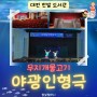 대전 한밭도서관 야광인형극 '무지개물고기' 부모참여 주말 행사 진행!