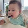 9개월아기 이유식후기스케줄 진밥 5배죽 이유식량 분유량 간식 물 정답은없음