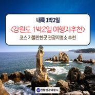 강원도 1박2일 여행지추천 코스 가볼만한곳 관광지명소 추천